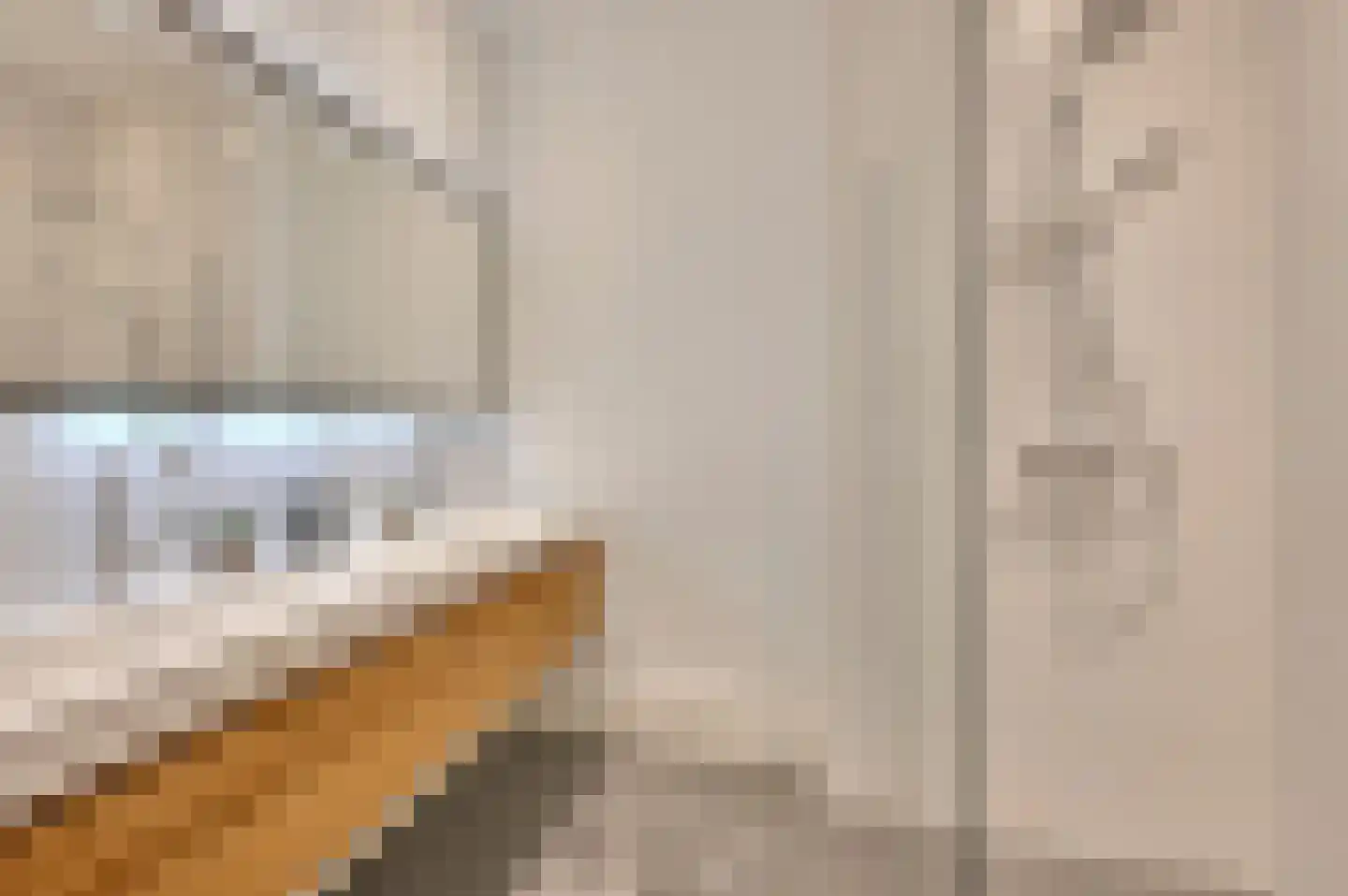 Van Boetzelaerlaan 171 A Den Haag thumbnail 17