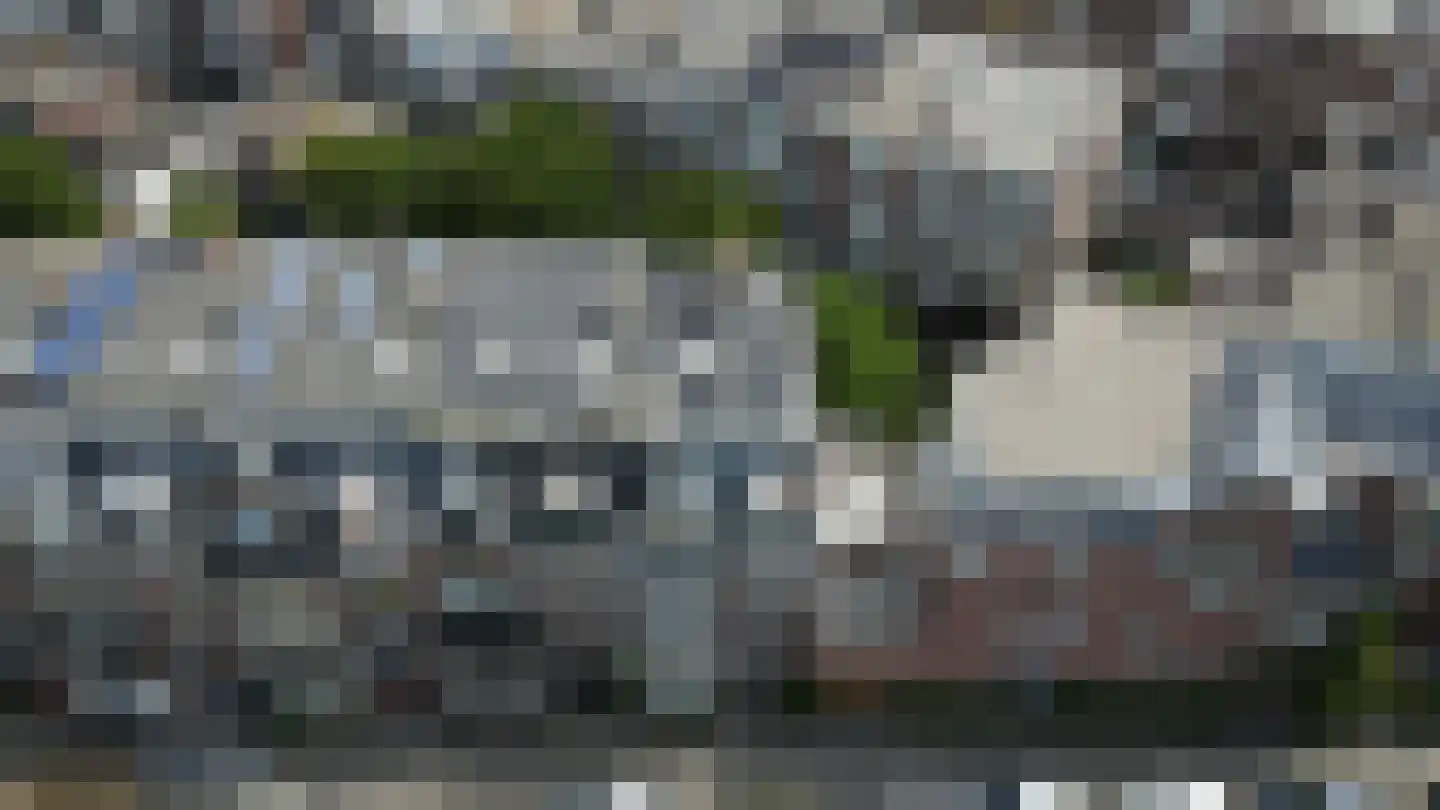 Van Boetzelaerlaan 171 A Den Haag thumbnail 43