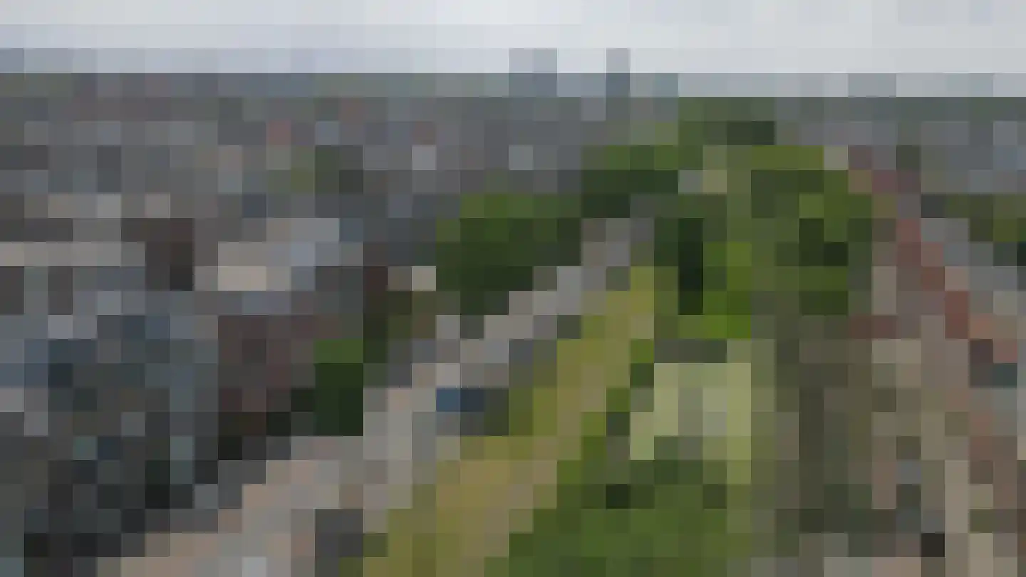 Van Boetzelaerlaan 171 A Den Haag thumbnail 46