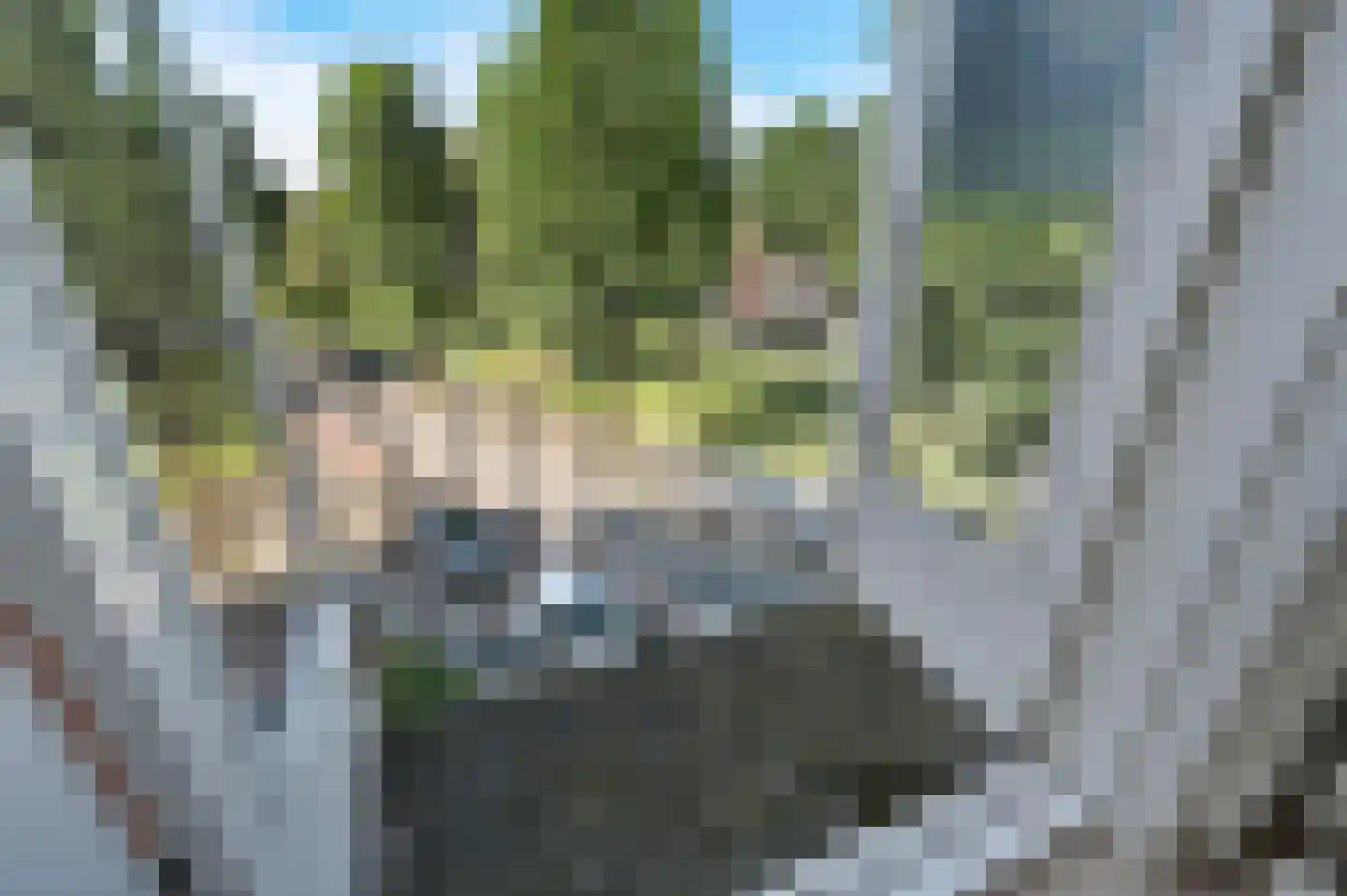 Van Boetzelaerlaan 171 B Den Haag thumbnail 13
