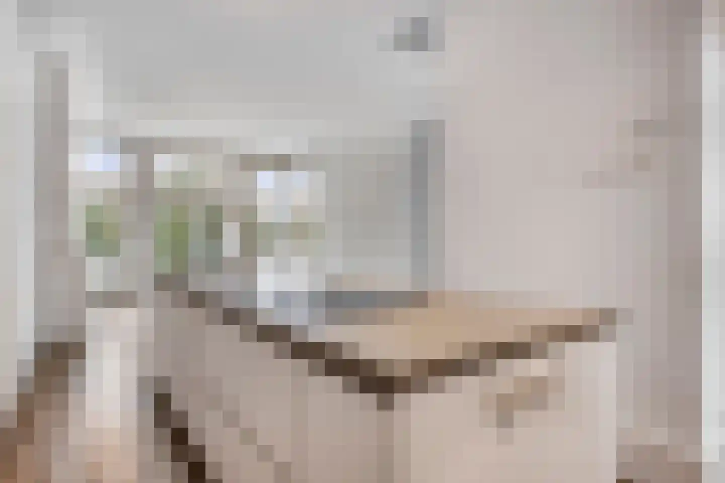 Van Boetzelaerlaan 171 B Den Haag thumbnail 14