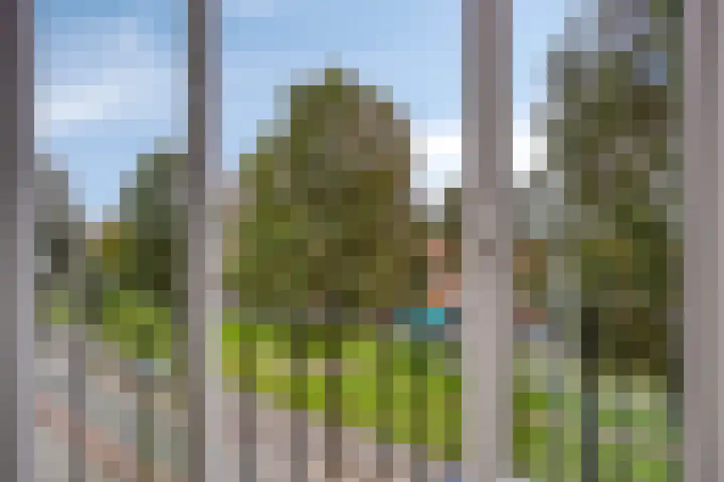 Van Boetzelaerlaan 171 B Den Haag thumbnail 18