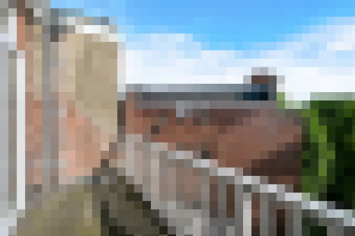 Van Boetzelaerlaan 171 B Den Haag thumbnail 26