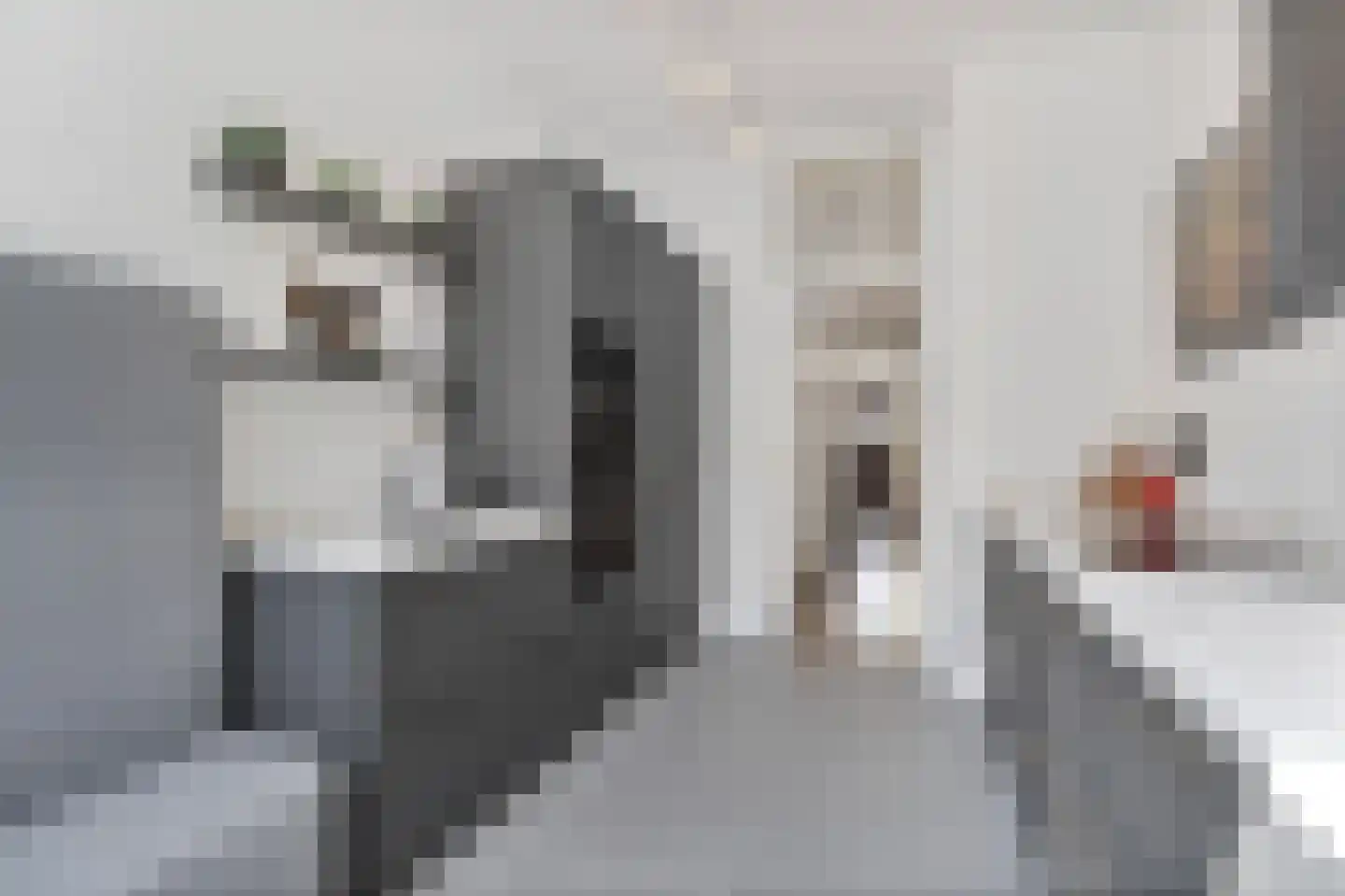 Van Boetzelaerlaan 187 Den Haag thumbnail 13