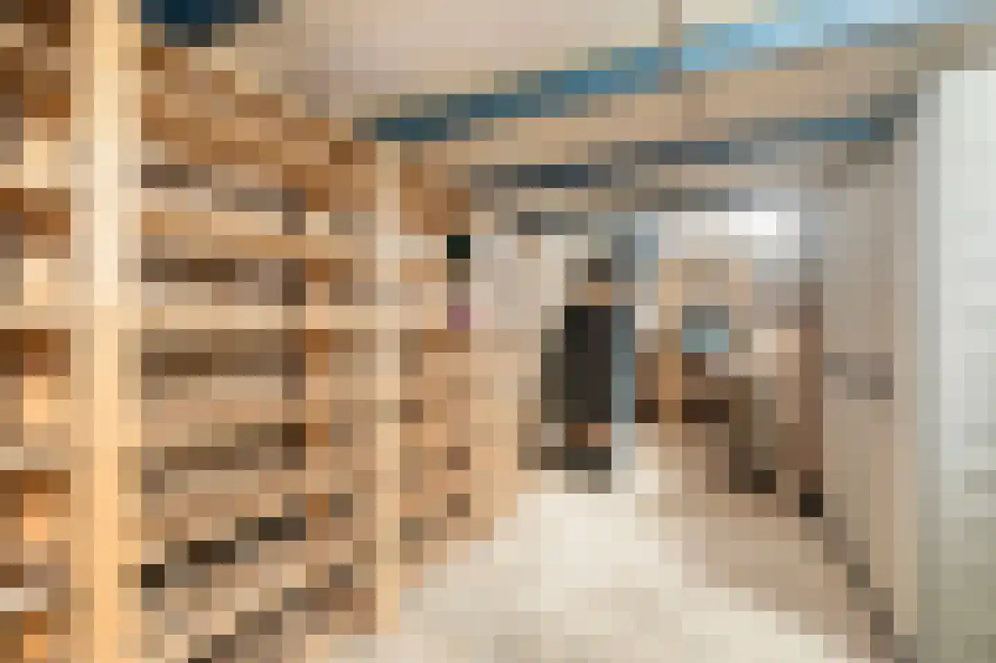 Van Boetzelaerlaan 187 Den Haag thumbnail 30