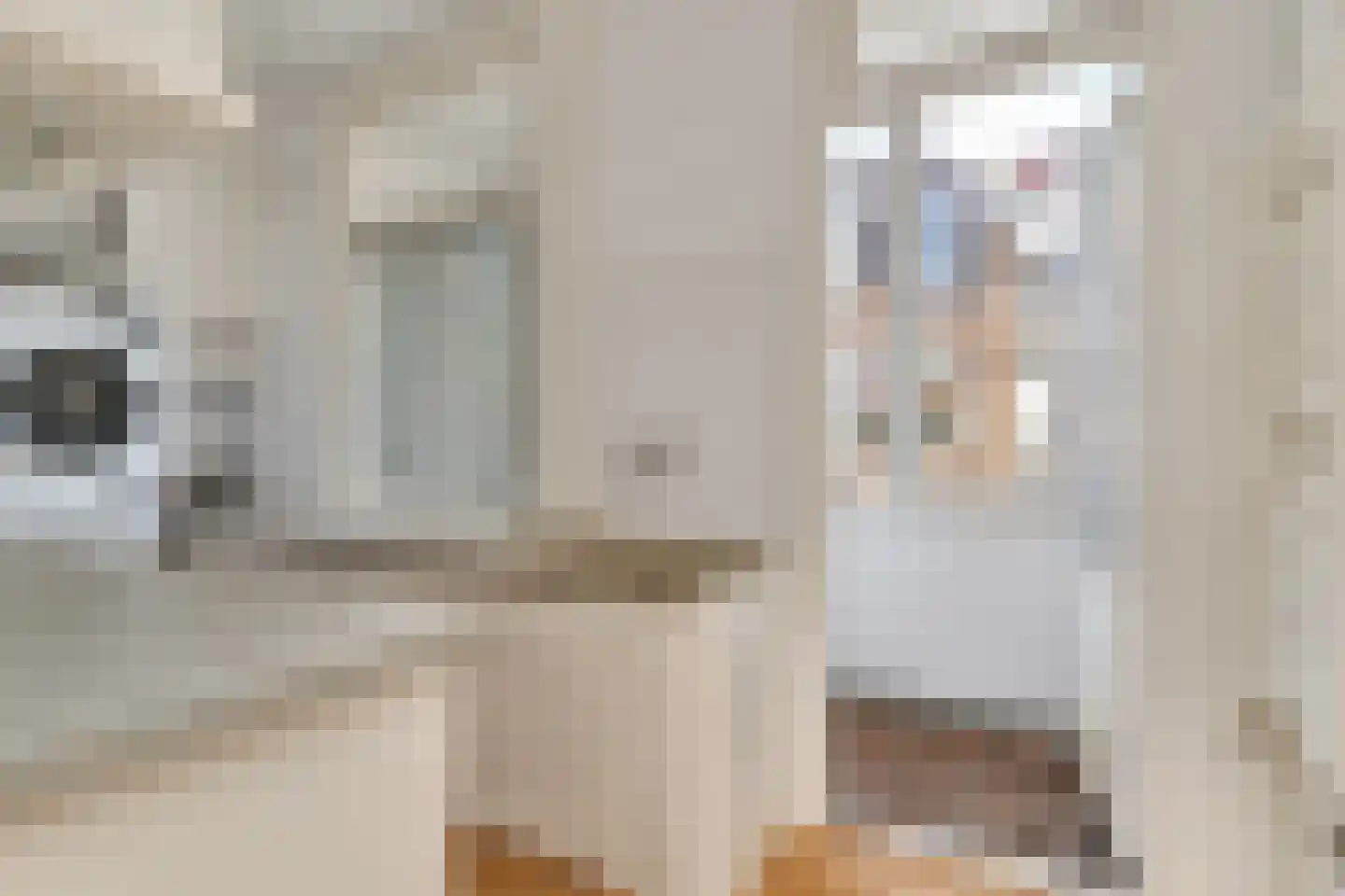 Van Boetzelaerlaan 192 Den Haag thumbnail 16