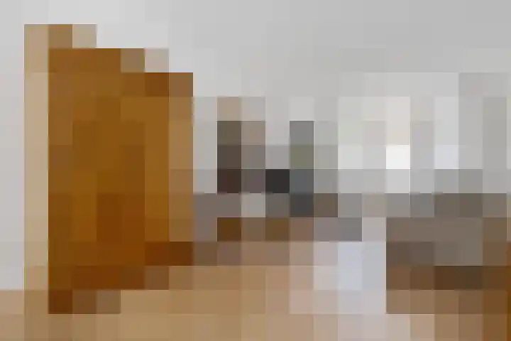 Van Boetzelaerlaan 196 Den Haag thumbnail 12