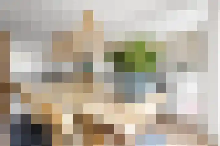 Van Boetzelaerlaan 196 Den Haag thumbnail 15