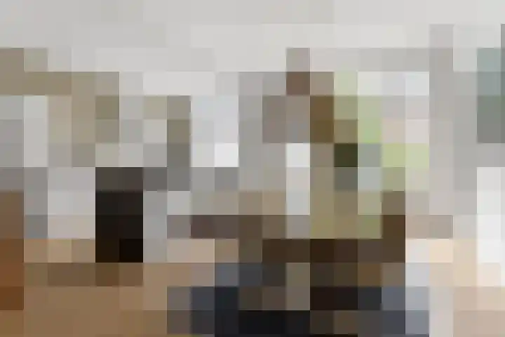 Van Boetzelaerlaan 196 Den Haag thumbnail 16