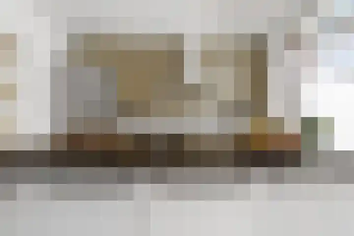 Van Boetzelaerlaan 196 Den Haag thumbnail 20
