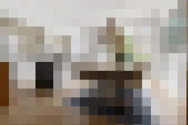 Van Boetzelaerlaan 196 Den Haag thumbnail 22