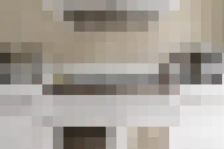 Van Boetzelaerlaan 196 Den Haag thumbnail 24