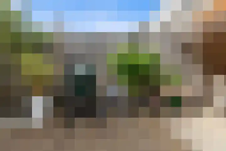 Van Boetzelaerlaan 196 Den Haag thumbnail 79