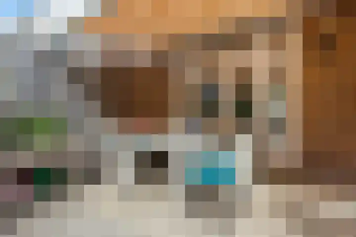 Van Boetzelaerlaan 196 Den Haag thumbnail 82