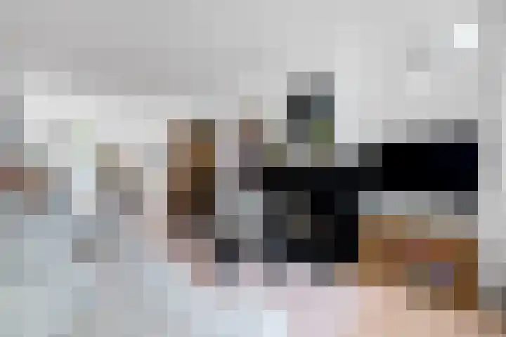 Van Boetzelaerlaan 196 Den Haag thumbnail 9