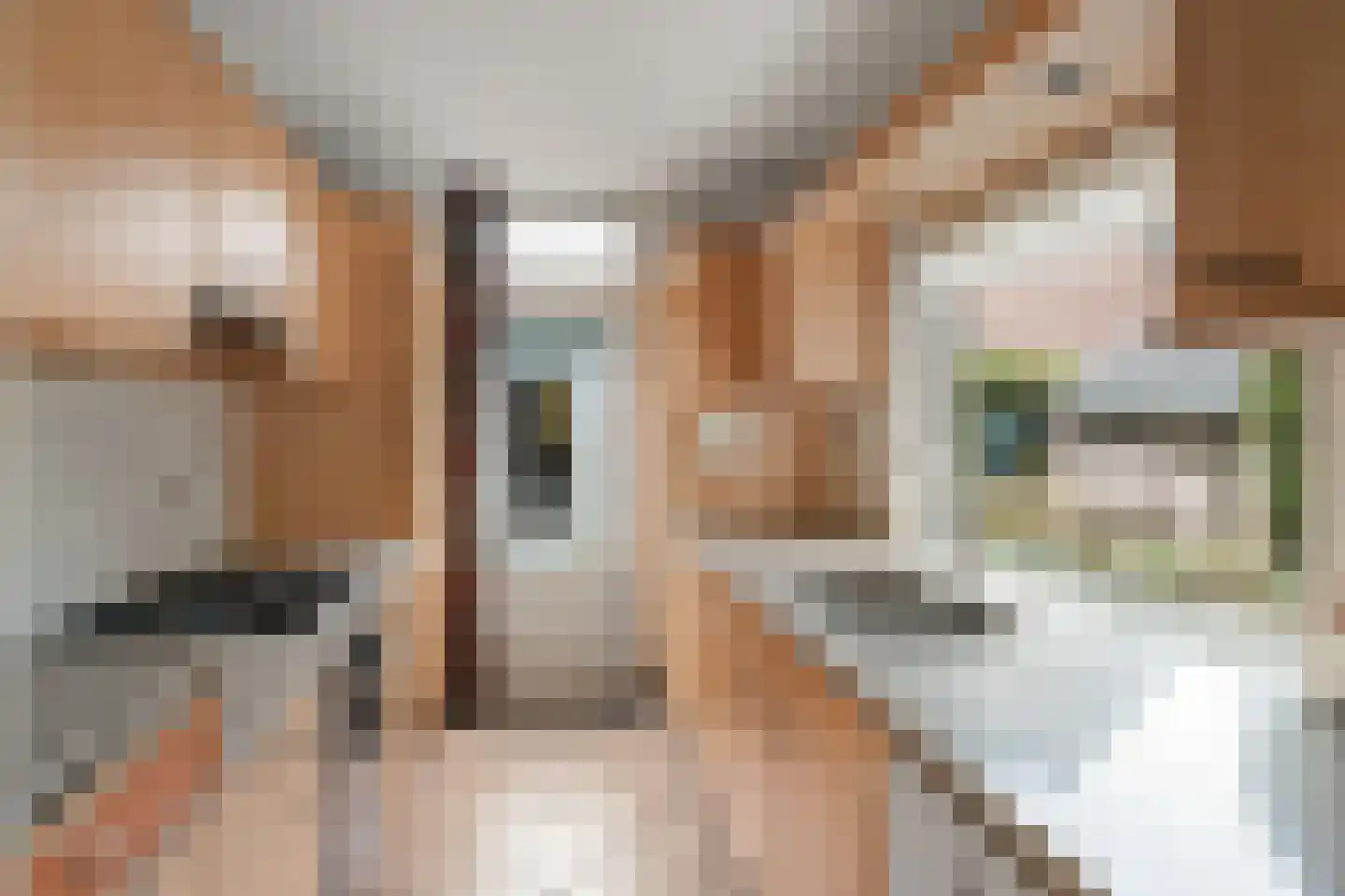 Van Boetzelaerlaan 2 Leusden thumbnail 12