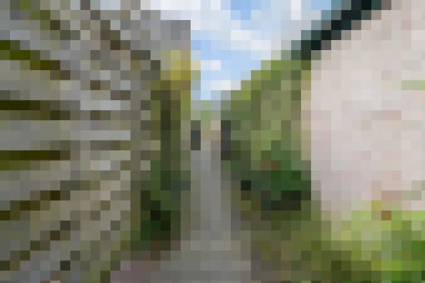 Van Boetzelaerlaan 2 Leusden thumbnail 16