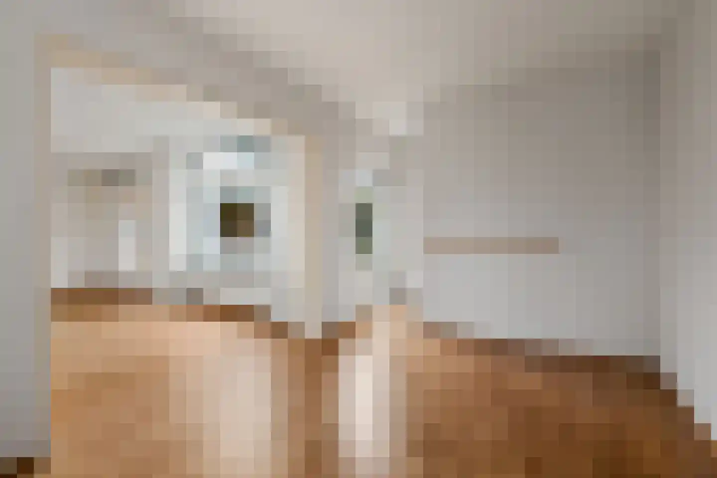 Van Boetzelaerlaan 2 Leusden thumbnail 8