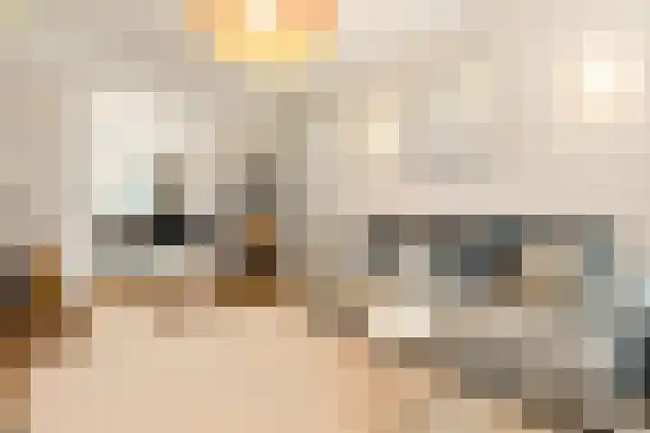 Van Boetzelaerlaan 202 Den Haag thumbnail 12