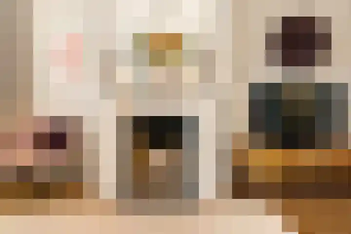 Van Boetzelaerlaan 202 Den Haag thumbnail 13