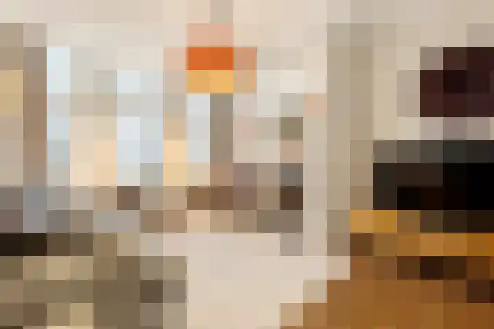Van Boetzelaerlaan 202 Den Haag thumbnail 15