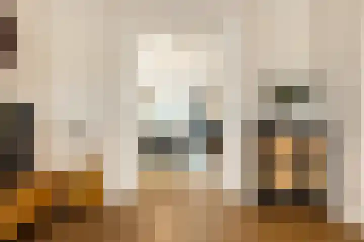 Van Boetzelaerlaan 202 Den Haag thumbnail 20