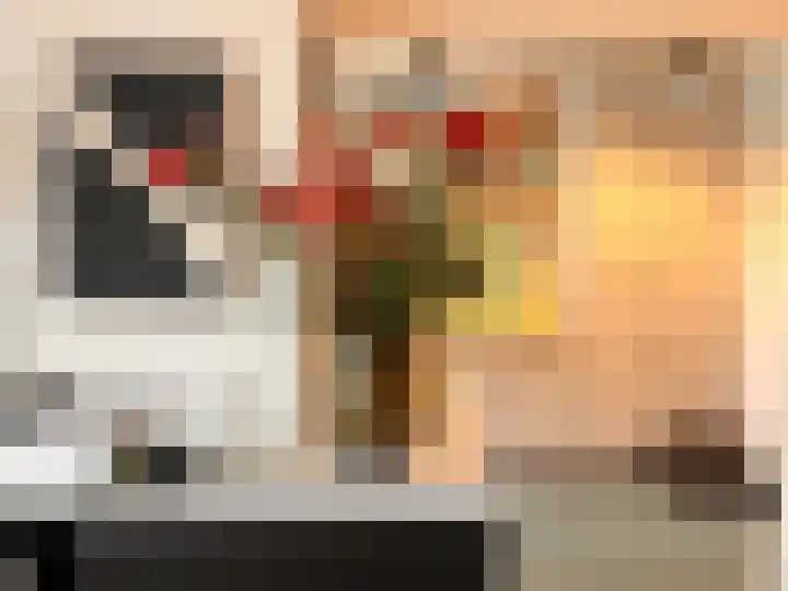 Van Boetzelaerlaan 202 Den Haag thumbnail 25