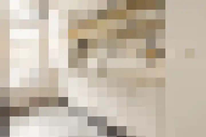 Van Boetzelaerlaan 202 Den Haag thumbnail 28