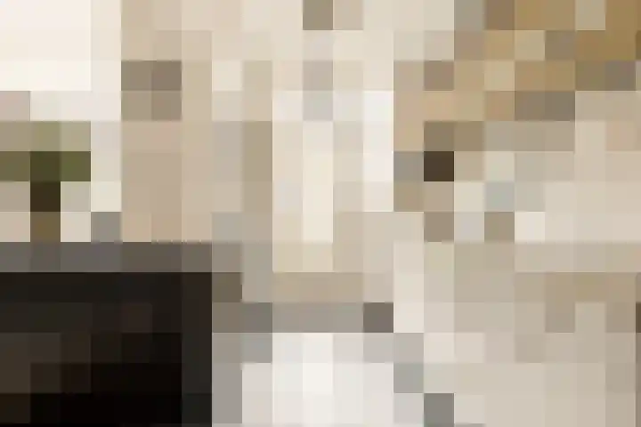 Van Boetzelaerlaan 202 Den Haag thumbnail 30