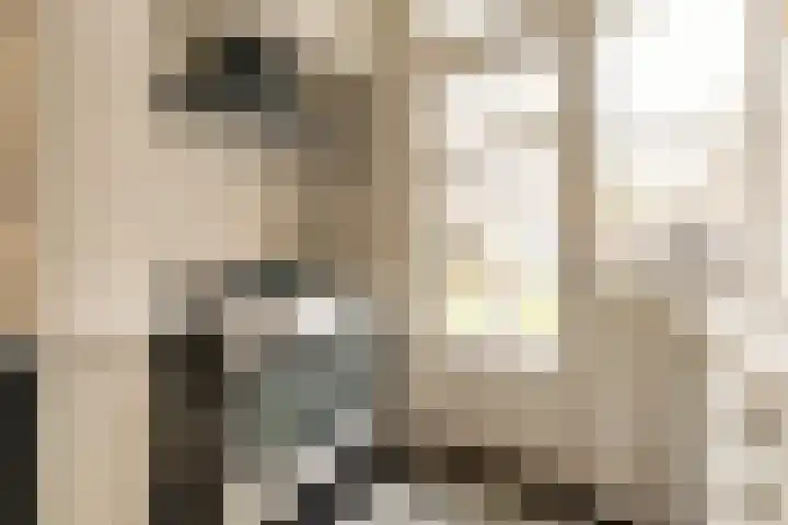 Van Boetzelaerlaan 202 Den Haag thumbnail 31
