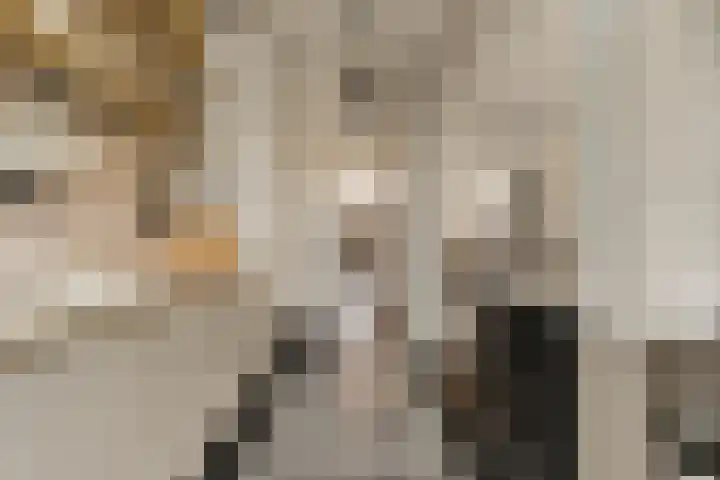 Van Boetzelaerlaan 202 Den Haag thumbnail 32