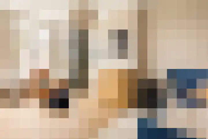 Van Boetzelaerlaan 202 Den Haag thumbnail 34