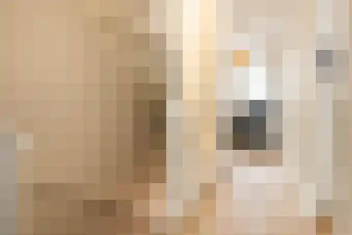Van Boetzelaerlaan 202 Den Haag thumbnail 39