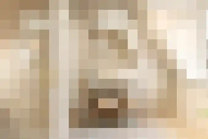 Van Boetzelaerlaan 202 Den Haag thumbnail 4