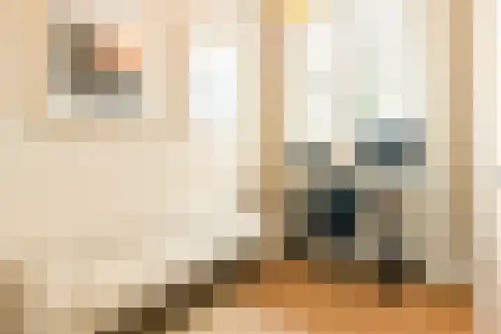 Van Boetzelaerlaan 202 Den Haag thumbnail 40