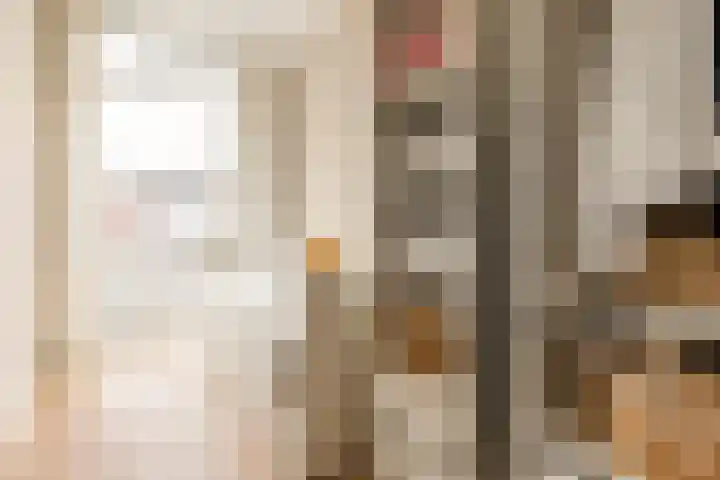 Van Boetzelaerlaan 202 Den Haag thumbnail 43