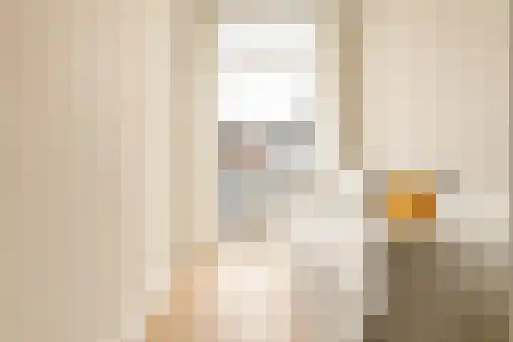 Van Boetzelaerlaan 202 Den Haag thumbnail 44
