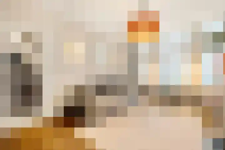 Van Boetzelaerlaan 202 Den Haag thumbnail 5