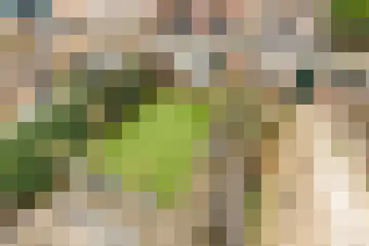 Van Boetzelaerlaan 202 Den Haag thumbnail 53