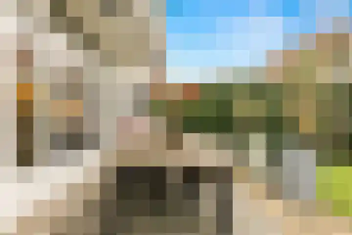 Van Boetzelaerlaan 202 Den Haag thumbnail 76