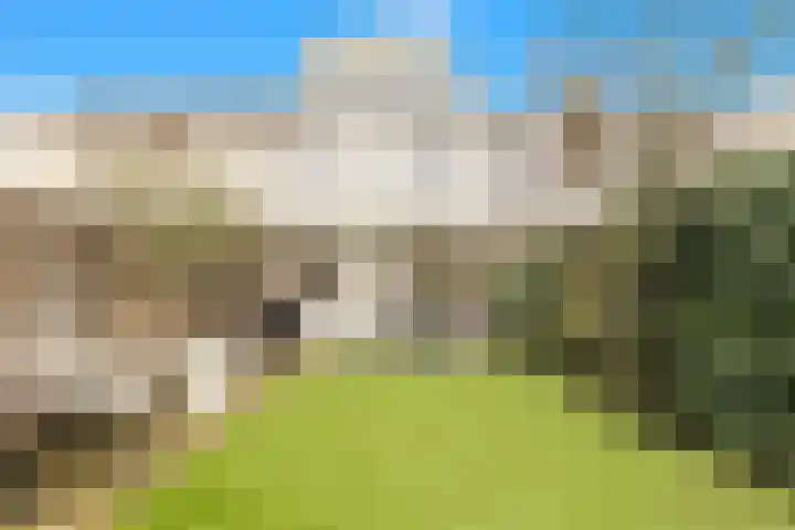Van Boetzelaerlaan 202 Den Haag thumbnail 78