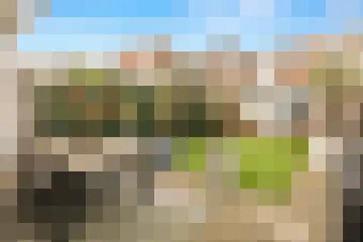 Van Boetzelaerlaan 202 Den Haag thumbnail 80