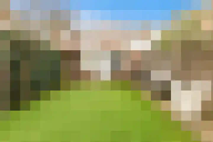 Van Boetzelaerlaan 202 Den Haag thumbnail 81