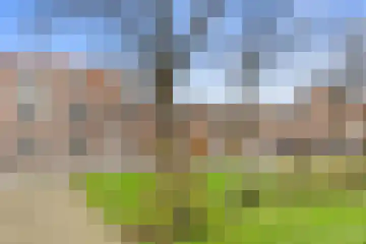 Van Boetzelaerlaan 202 Den Haag thumbnail 84