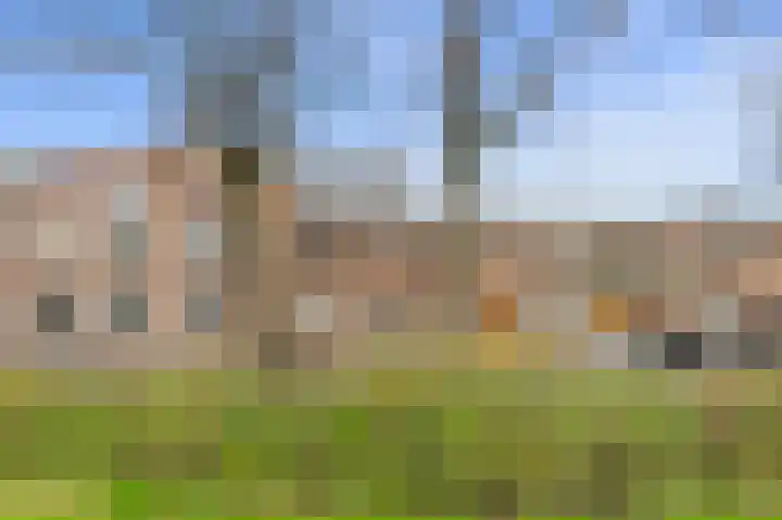 Van Boetzelaerlaan 202 Den Haag thumbnail 85