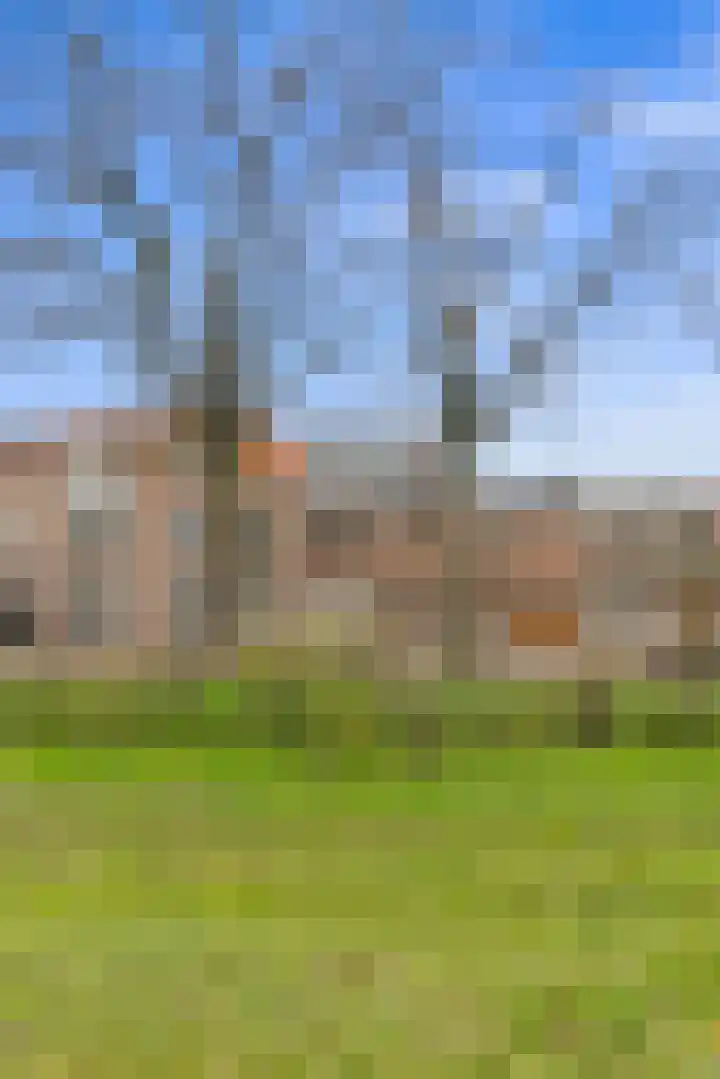 Van Boetzelaerlaan 202 Den Haag thumbnail 87