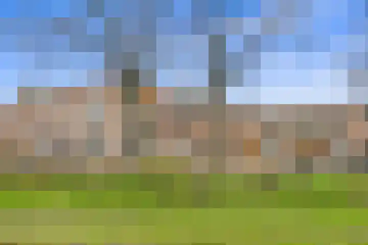 Van Boetzelaerlaan 202 Den Haag thumbnail 89