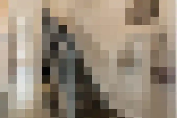 Van Boetzelaerlaan 202 Den Haag thumbnail 9