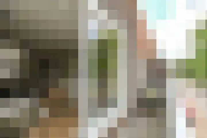 Van Boetzelaerlaan 219 B Den Haag thumbnail 23
