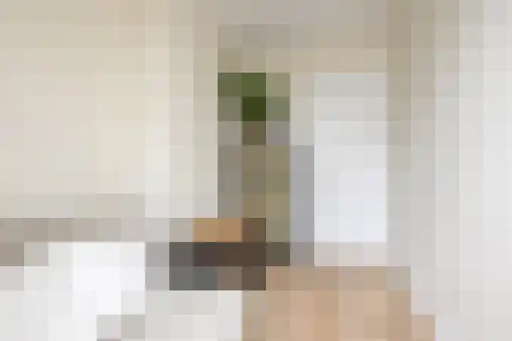 Van Boetzelaerlaan 219 B Den Haag thumbnail 32